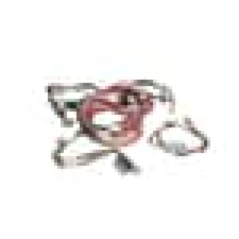 Cable Group 260605017