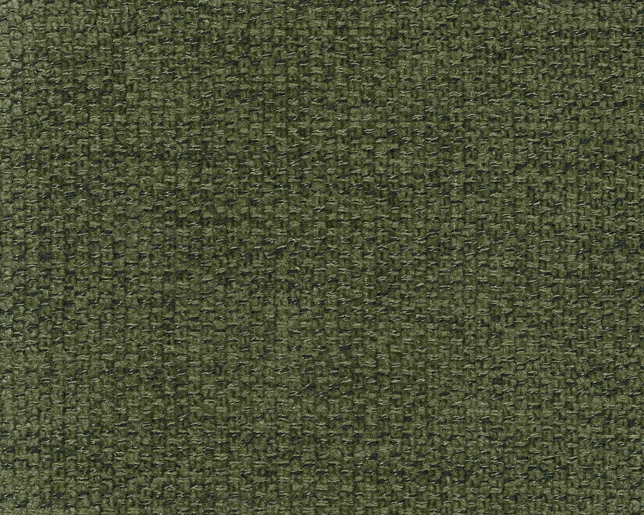 Bixler Showood Accent Chair In Olive 2610760