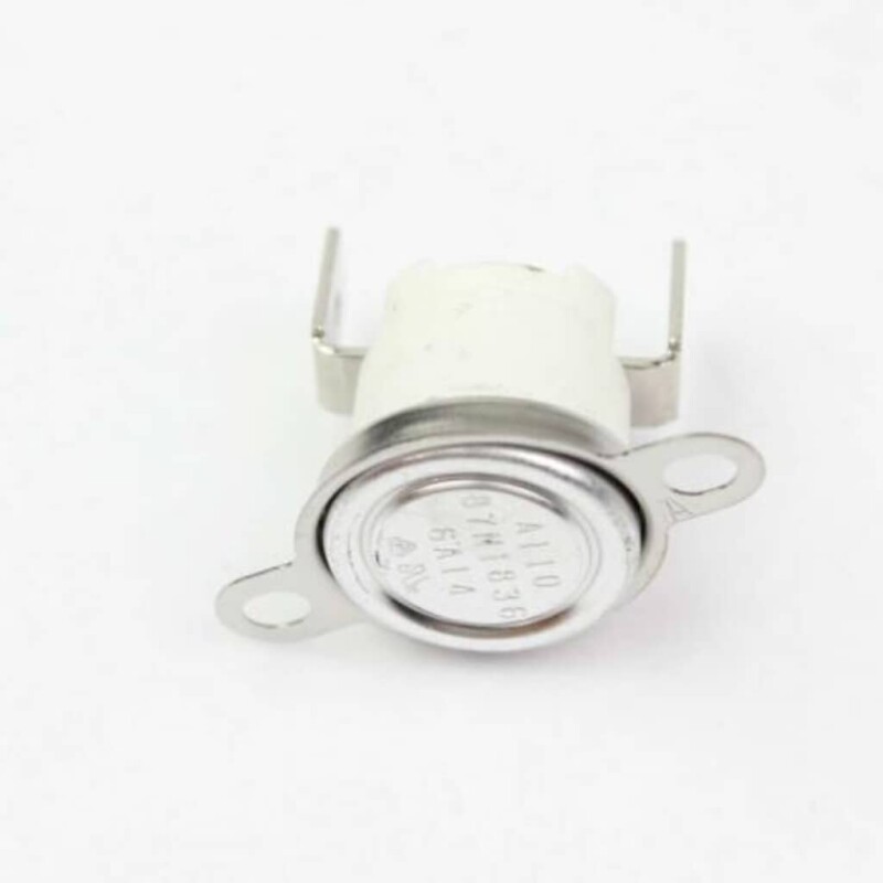 Body Thermostat 263900059