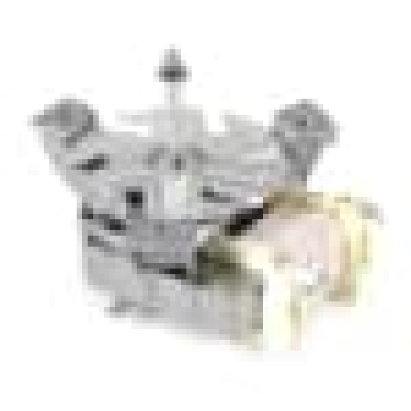 Oven Circulation Blower_50w_30inc_usa 264600004