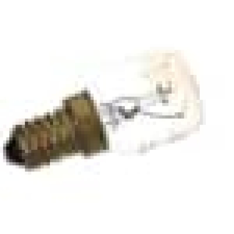 Oven Lamb_25 W-230 V 265900026