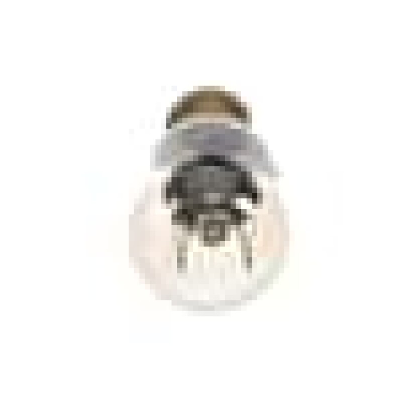 Oven Lamb_25 W-230 V 265900026, product image 7 of 9