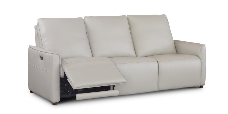 Everett Leather Reclining Sofa 3662P62G