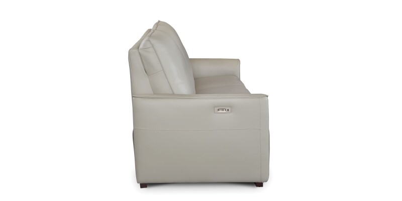 Everett Leather Reclining Sofa 3662P62G