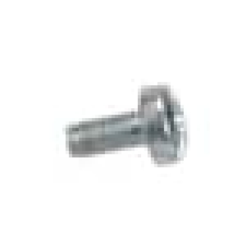 M 4 X 10 Screw 371900003, product image 2 of 9