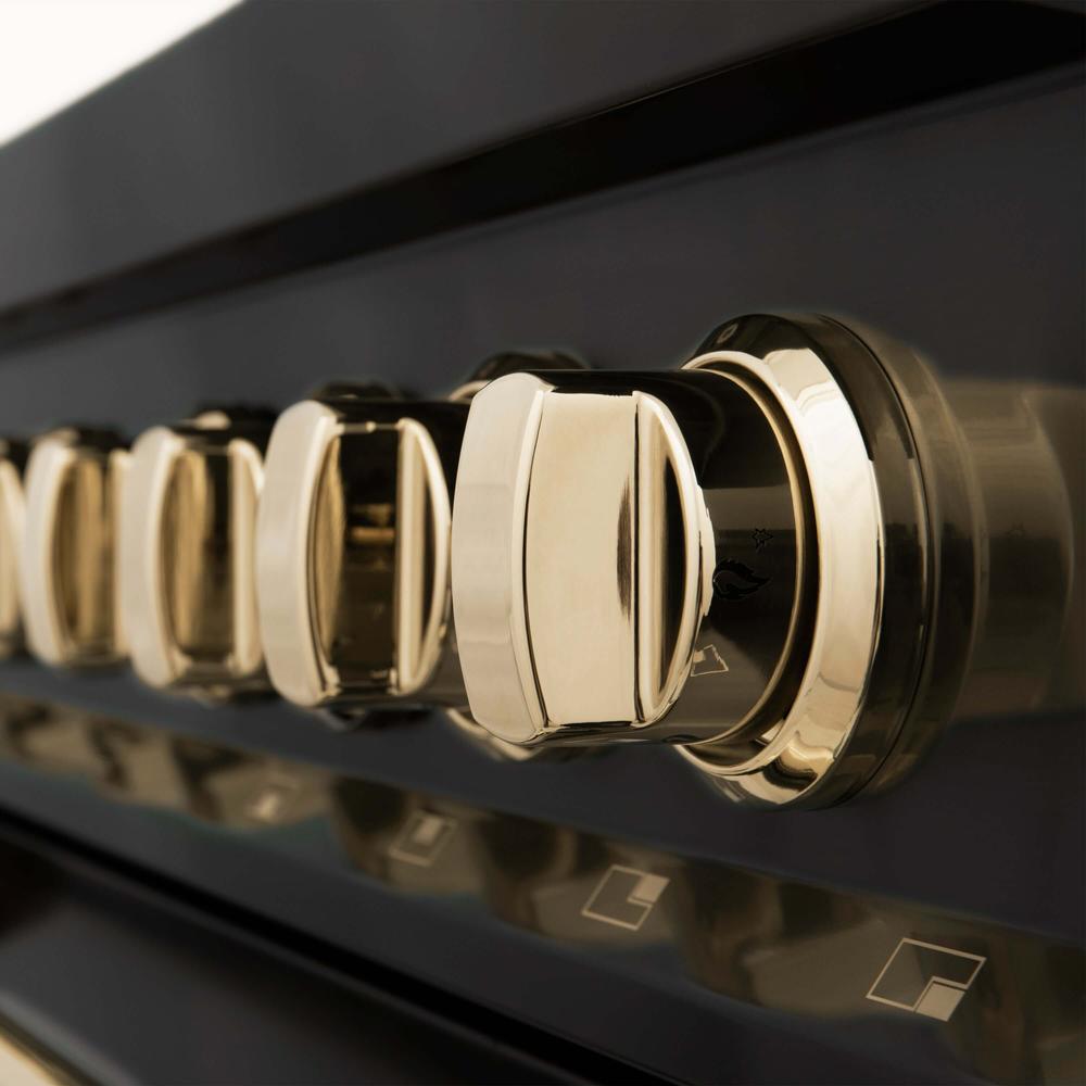 Autograph Edition 30 in. Kitchen Package with Black Stainless Steel Dual Fuel Range, Range Hood and Dishwasher with Polished Gold Accents 3AKPRABRHDWV30G