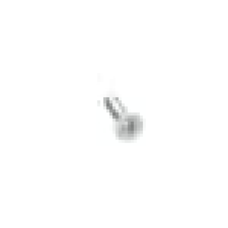 Handle Screw 4049970300