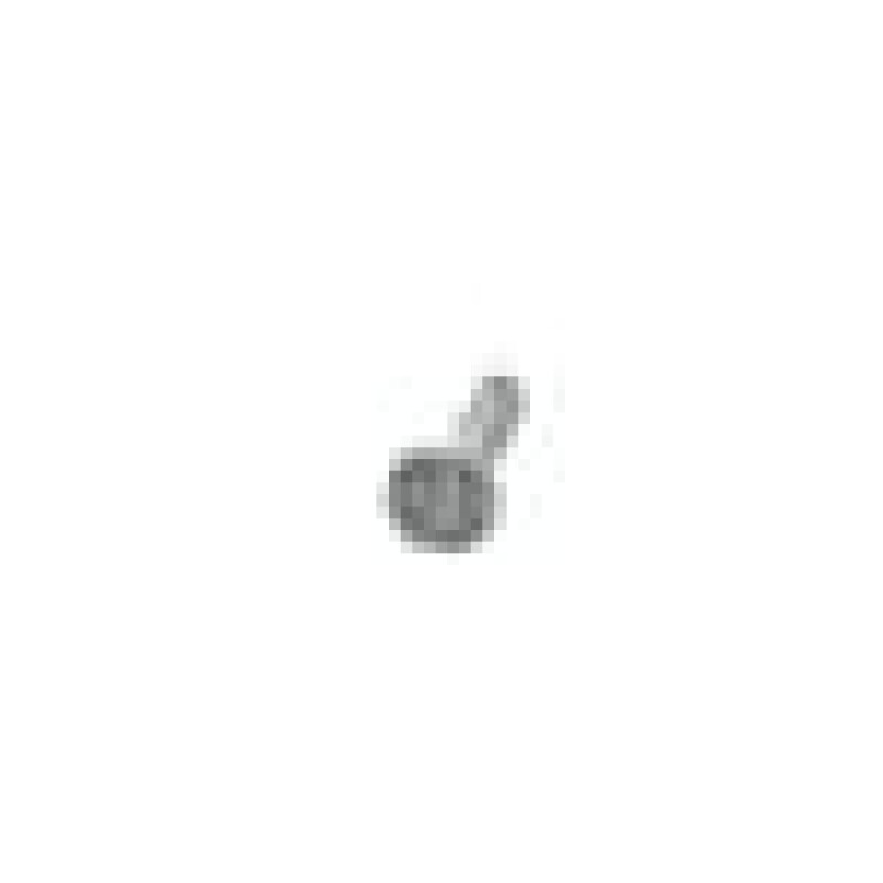 Handle Screw 4049970300