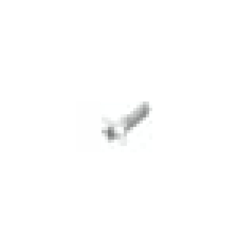 Handle Screw 4049970300