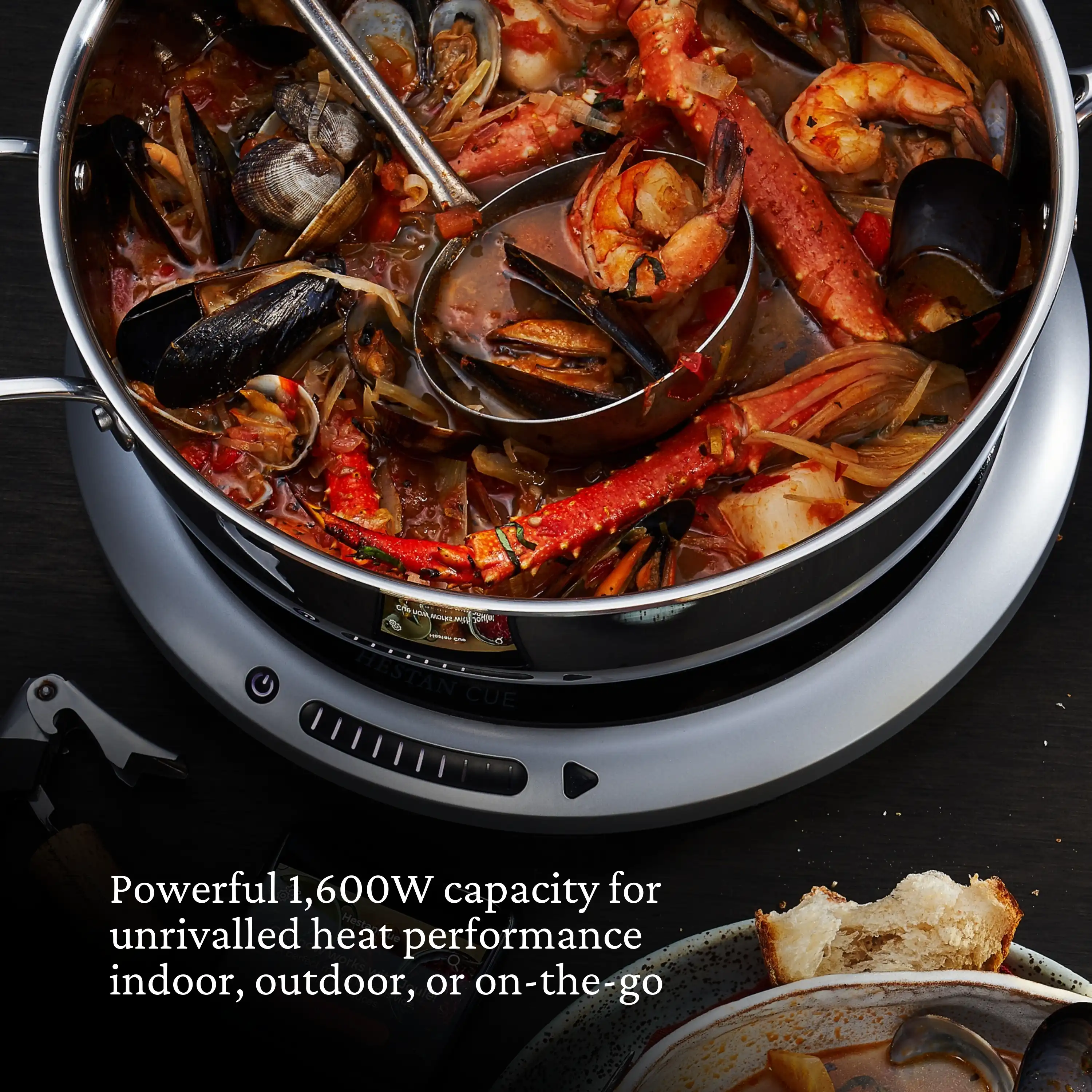 Portable Induction Cooktop 41000Z
