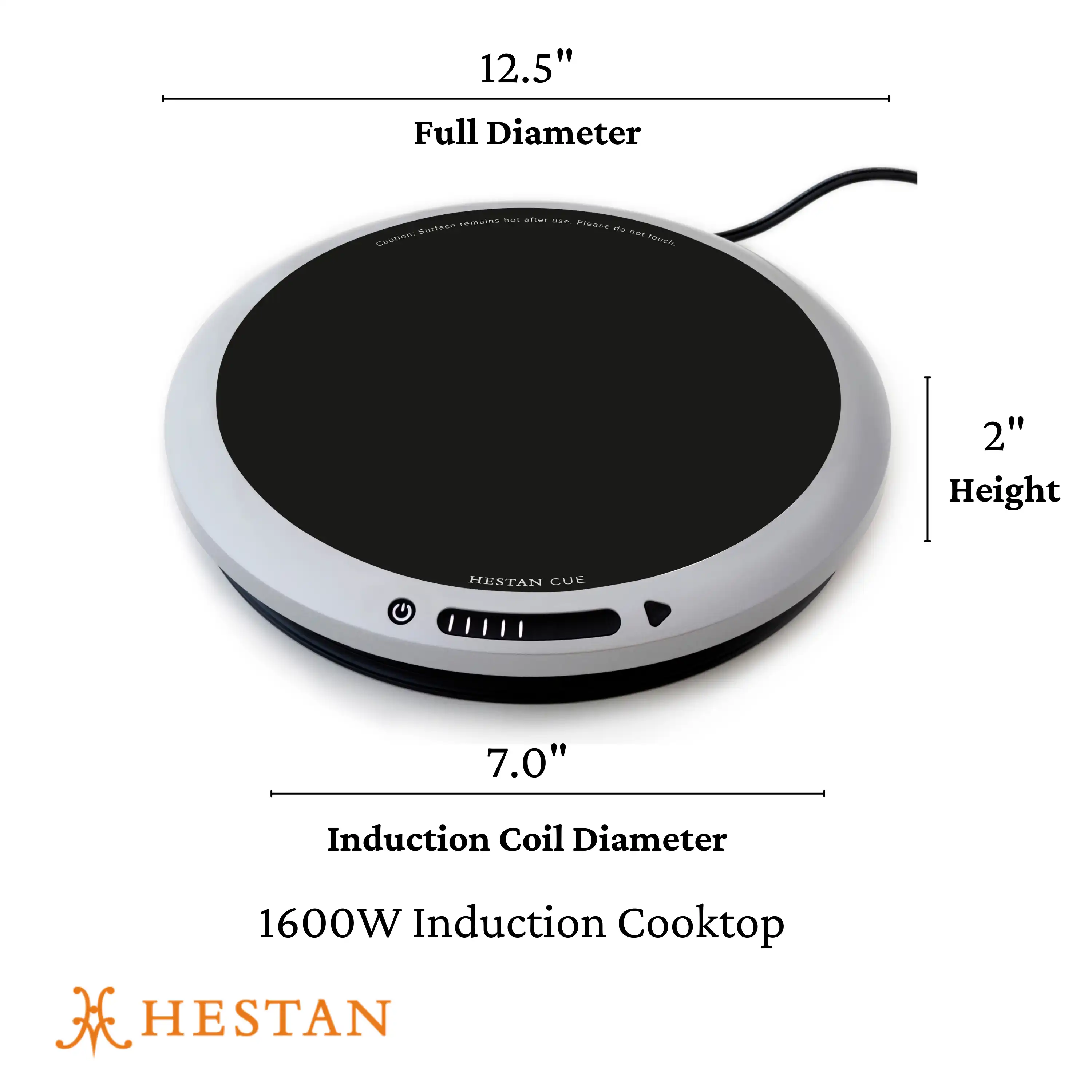 Portable Induction Cooktop 41000Z