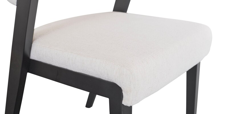 Asher Upholstered Dining Chair 42011682BNS