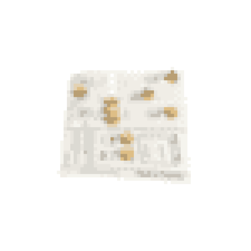 G30-30 Injector Gr ( Lpg ). 4431600003, product image 9 of 9