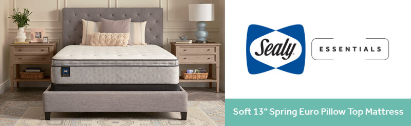 Hayward Soft Euro Pillow Top King 52831161