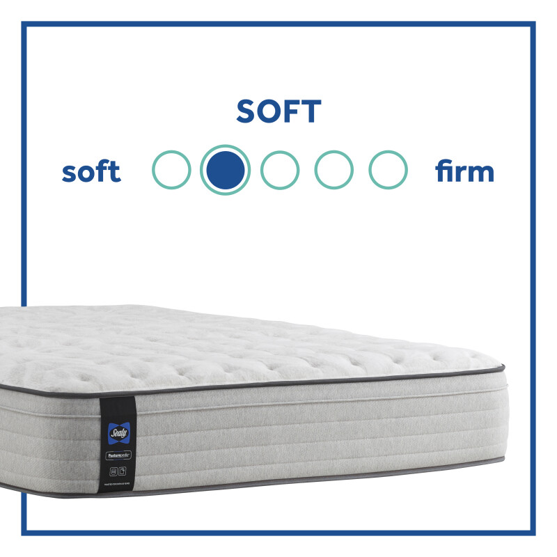Diggens Soft Faux Euro Top King 52831861