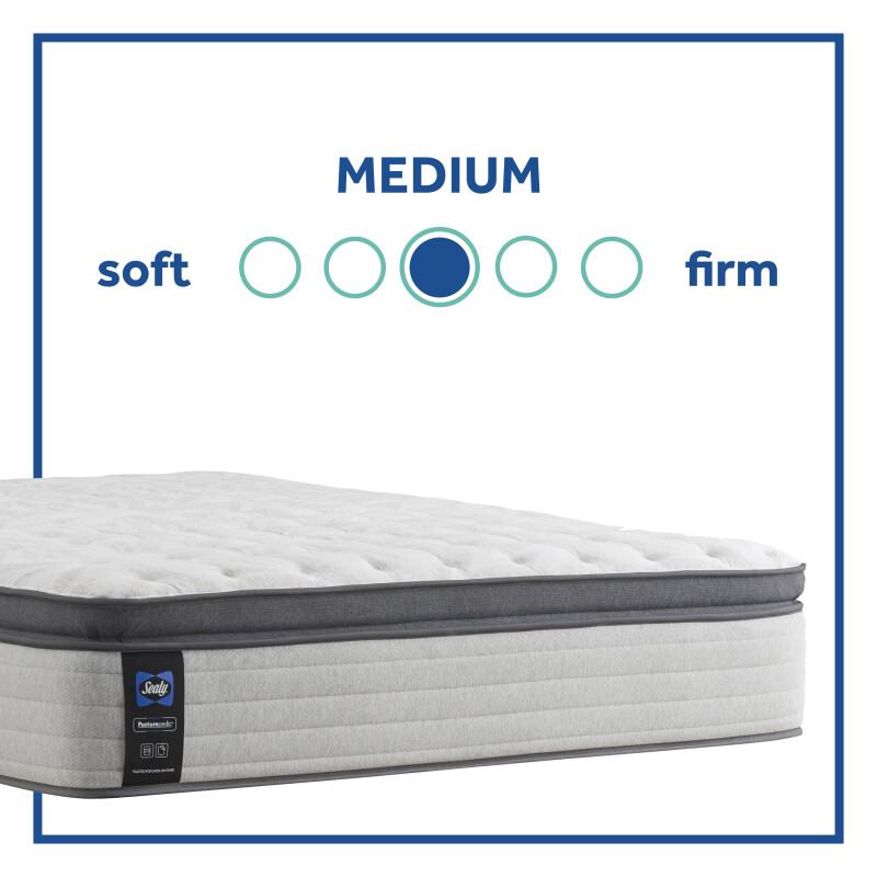 Diggens Medium Euro Pillow Top Queen 52831951