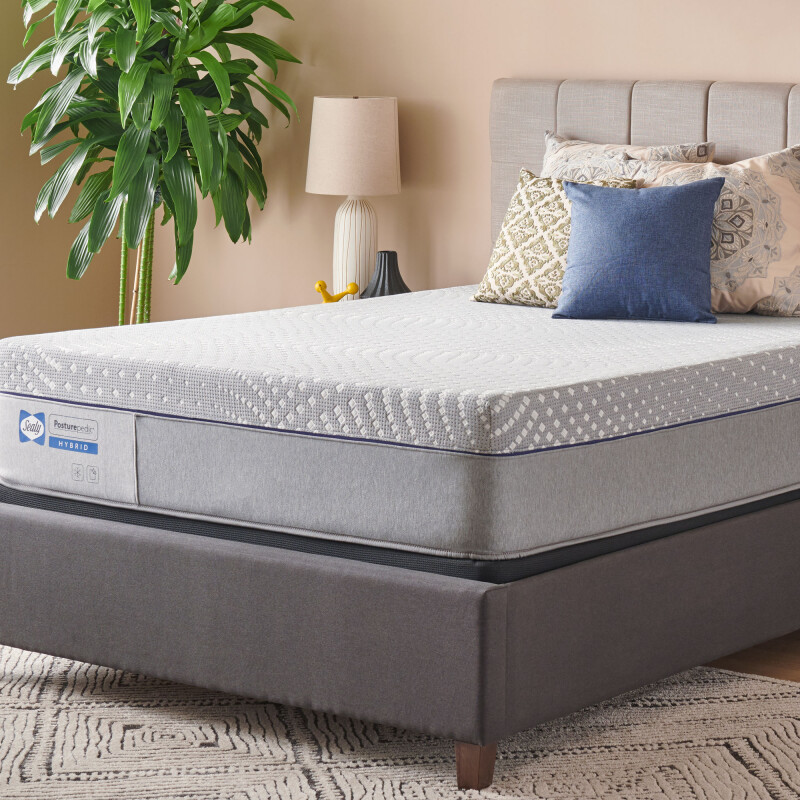 Elsanta Firm Hybrid King 52920161