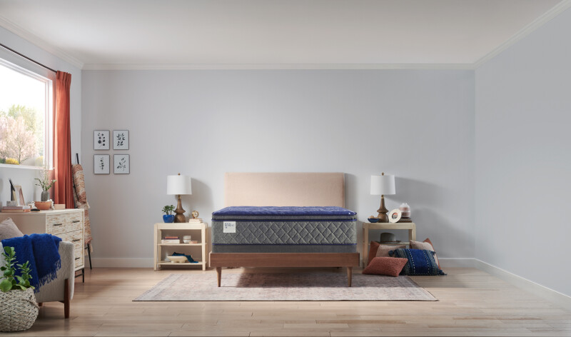 Westerfield Soft Euro Pillow Top King 53110461