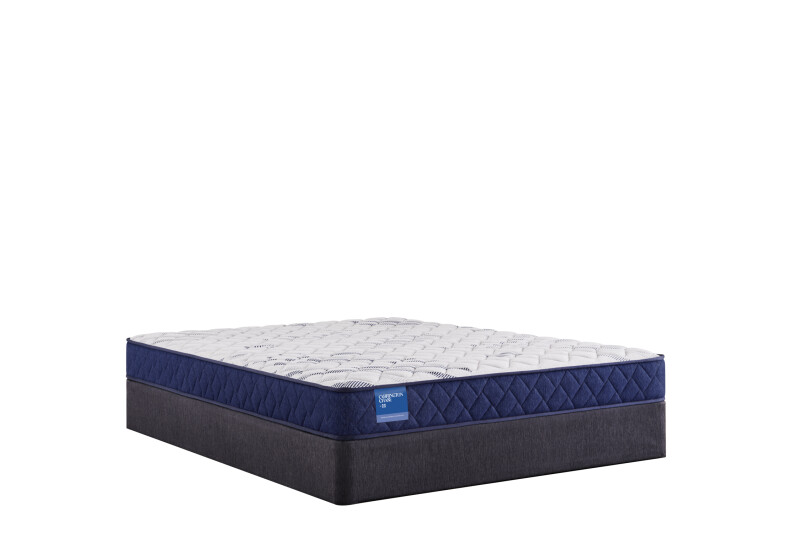Resting Manor Foam Tight Top Queen 53113651
