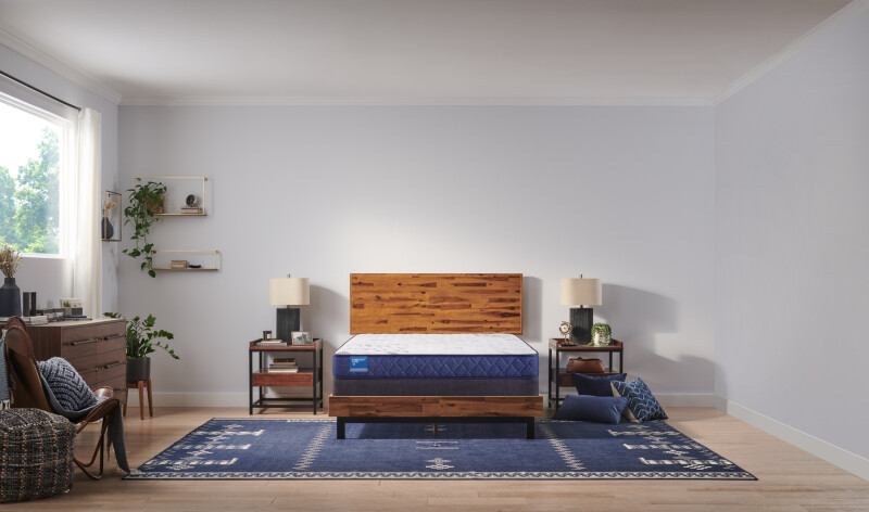 Resting Manor Foam Tight Top Queen 53113651
