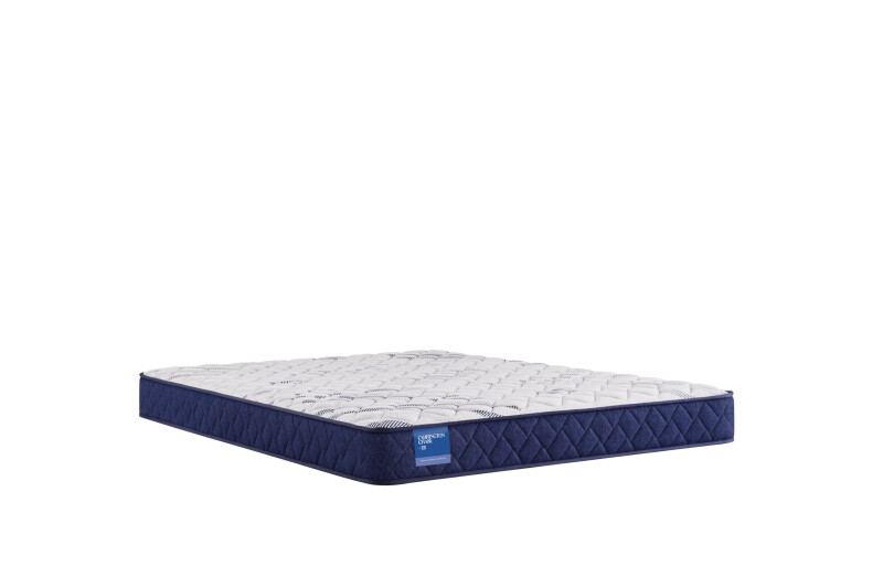 Resting Manor Foam Tight Top King 53113661