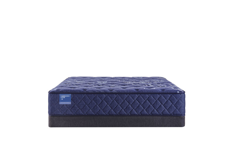 Travelers Rest Soft Tight Top Queen 53114151