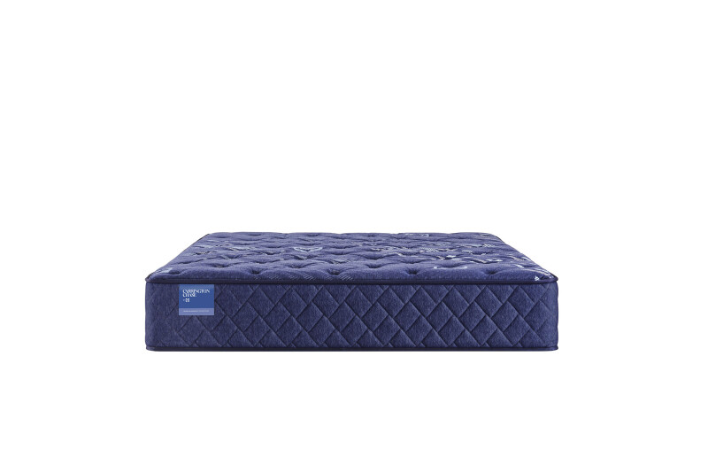 Travelers Rest Soft Tight Top Queen 53114151