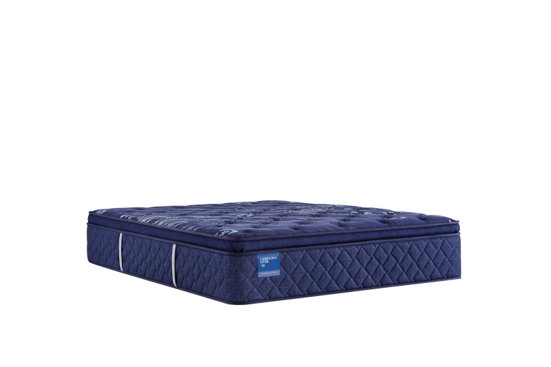 Travelers Rest Soft Euro Pillow Top Twin Long 53114531