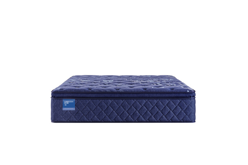 Travelers Rest Soft Euro Pillow Top Twin Long 53114531