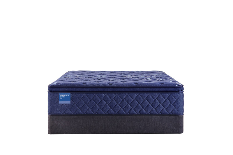 Travelers Rest Soft Euro Pillow Top Queen 53114551