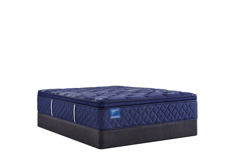 Travelers Rest Soft Euro Pillow Top Queen 53114551
