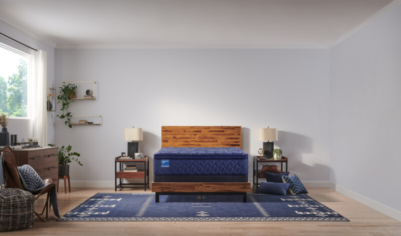 Travelers Rest Soft Euro Pillow Top Queen 53114551