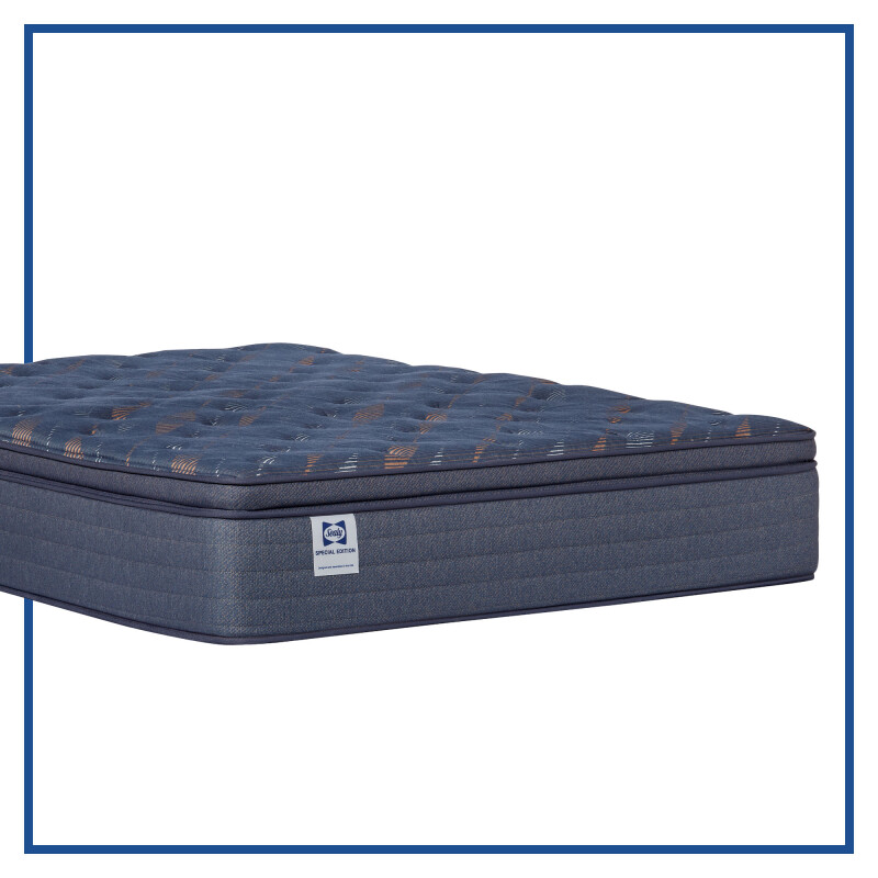 Warner Euro Pillow Top Soft Cal King 53198362