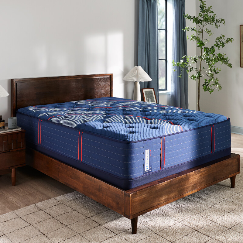 Albany II Tight Top Firm King 53200061