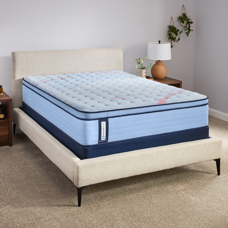 Dudley Euro Pillow Top Medium Twin XL 53216231
