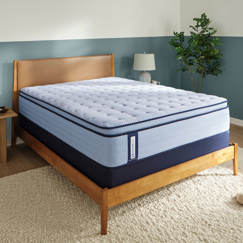 Orlando Euro Pillow Top Medium King 53222661
