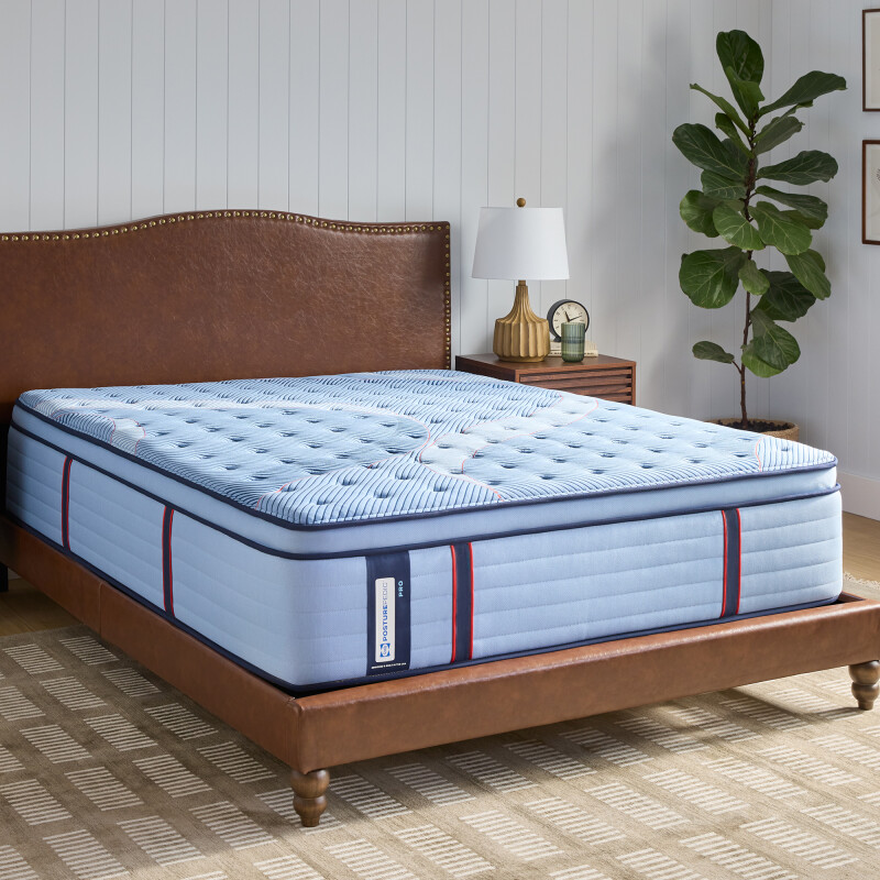 Oldham Euro Pillow Top Soft King 53226261