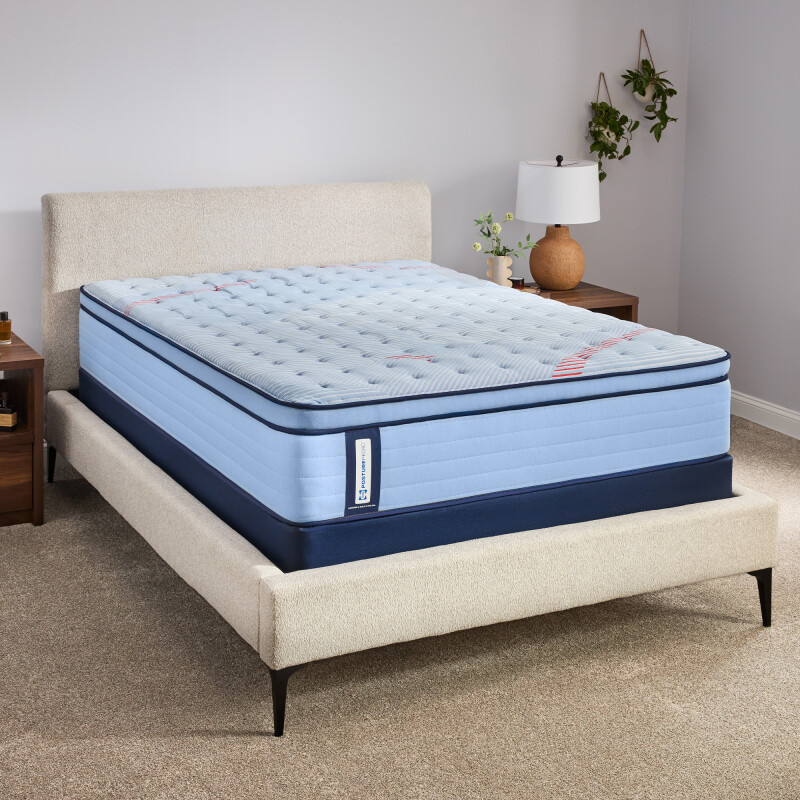 Fayette Euro Pillow Top Soft King 53239061