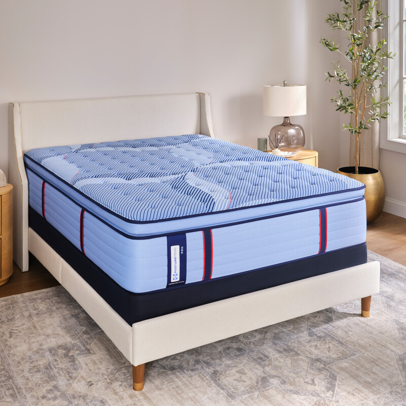 Sonterra Euro Pillow Top Medium Split Cal King 53243232