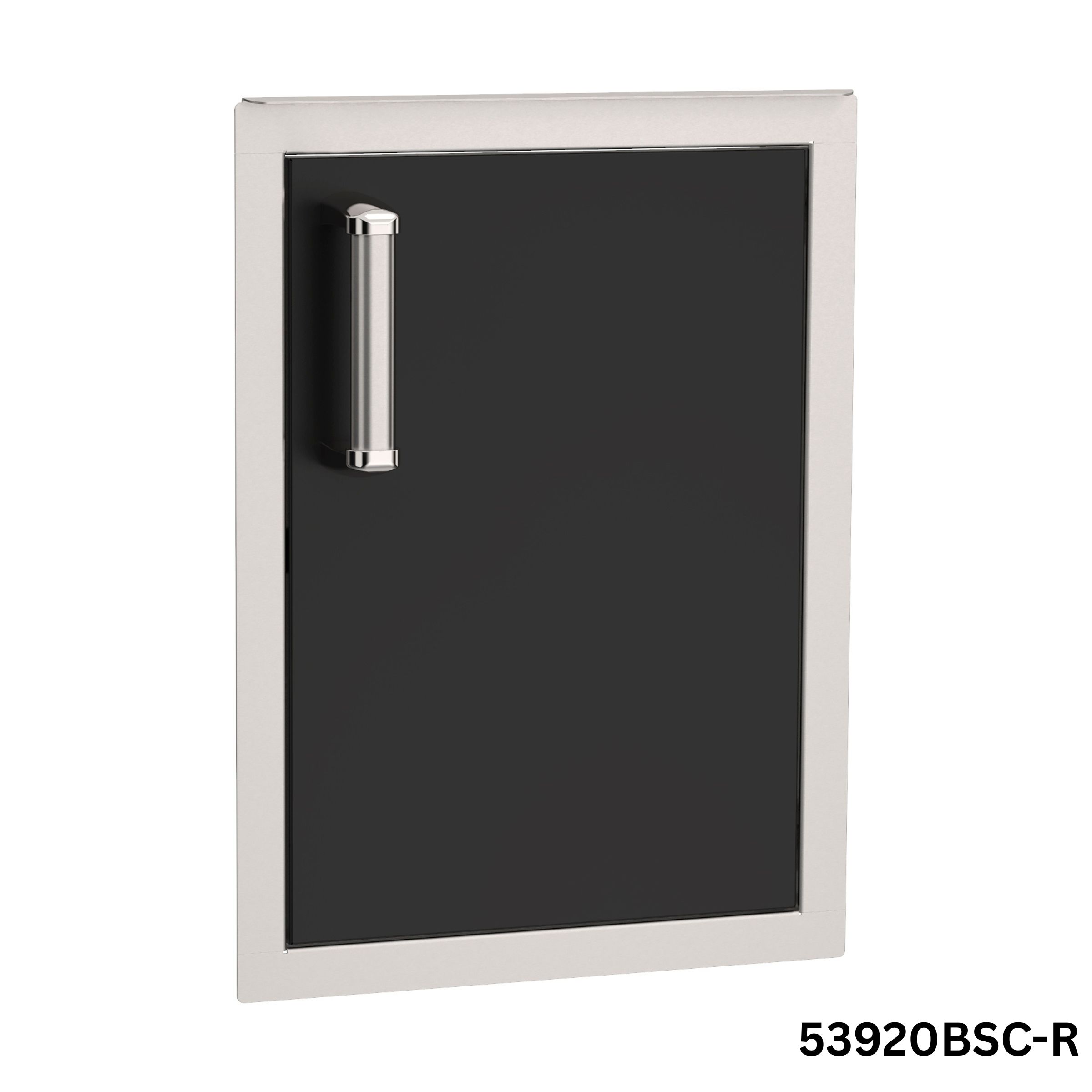 Echelon Black Vertical Single Access Door 53920BSCR