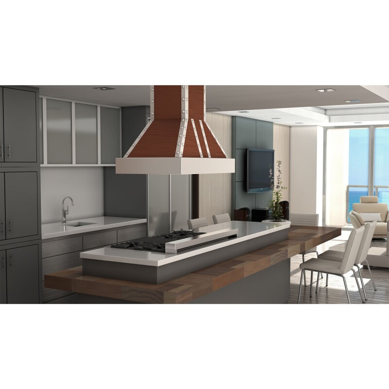 30" Designer Series Island Range Hood 655ICSSSS30