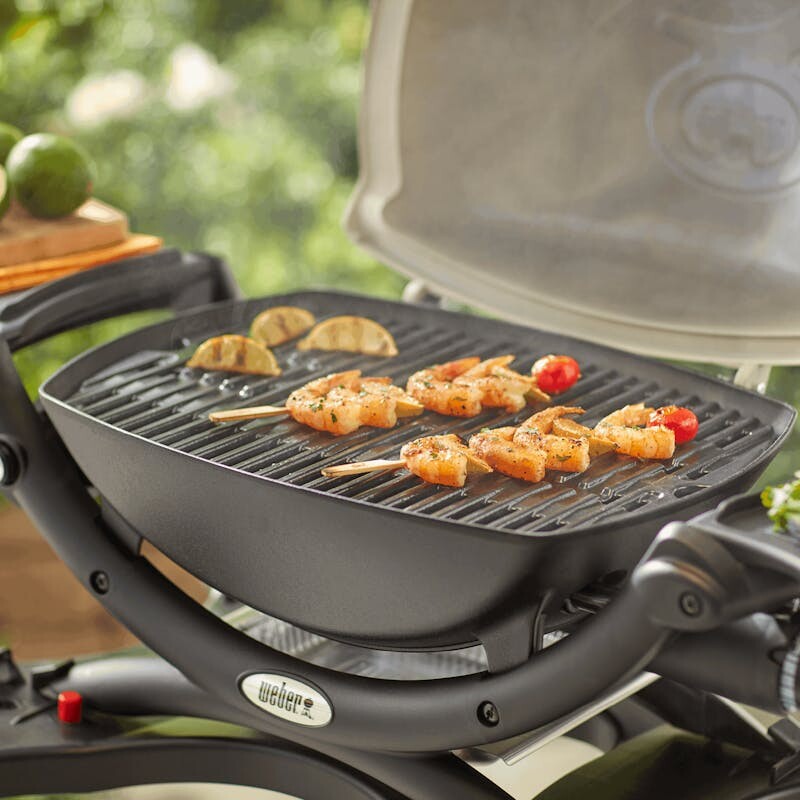Cooking Grates view 2