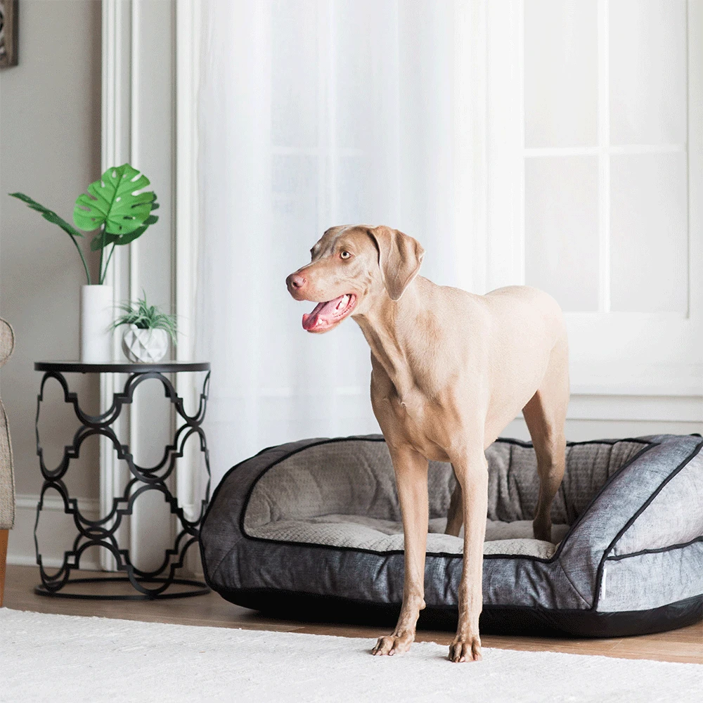 Harper Sofa Bed 85480