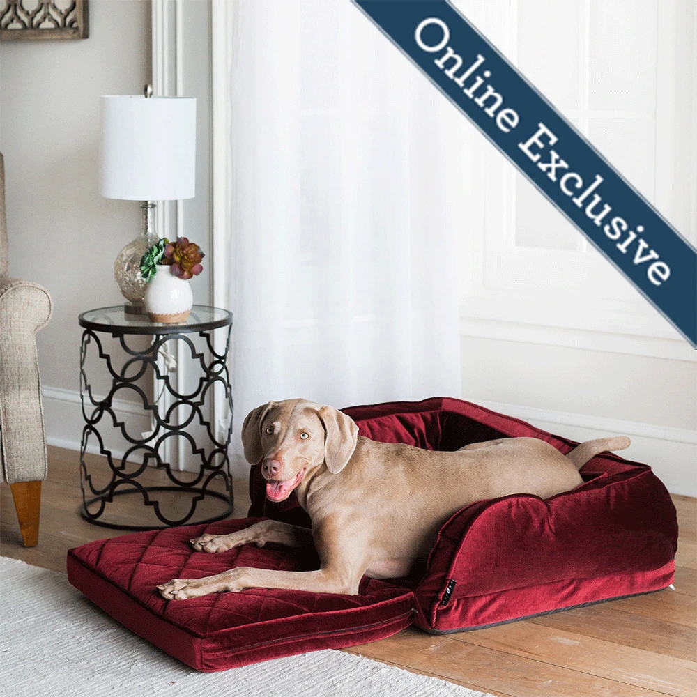 Duchess Fold Out Sofa 85486
