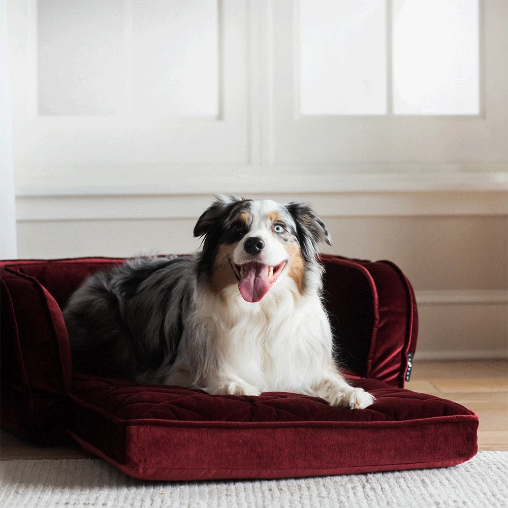 Duchess Fold Out Sofa 85486