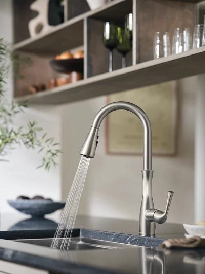 Arlia Chrome one-handle high arc pulldown kitchen faucet 87564SRS