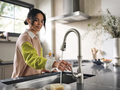 Arlia Chrome one-handle high arc pulldown kitchen faucet 87564SRS