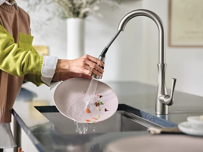 Arlia Chrome one-handle high arc pulldown kitchen faucet 87564SRS