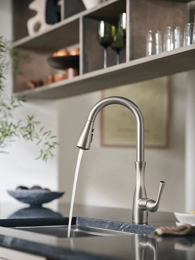 Arlia Chrome one-handle high arc pulldown kitchen faucet 87564SRS