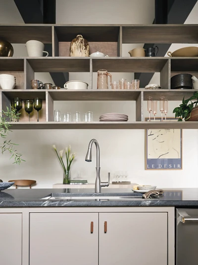 Arlia Chrome one-handle high arc pulldown kitchen faucet 87564SRS